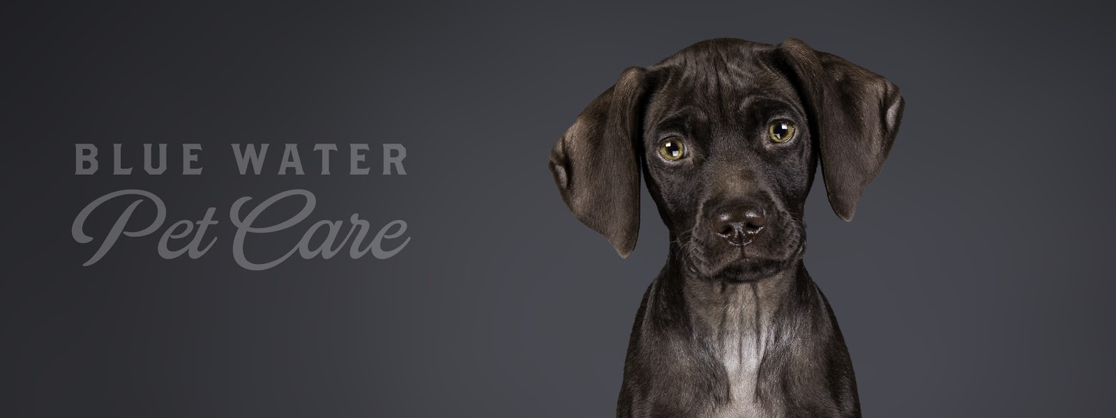 Blue Water Pet Care, Inc. in Port Huron