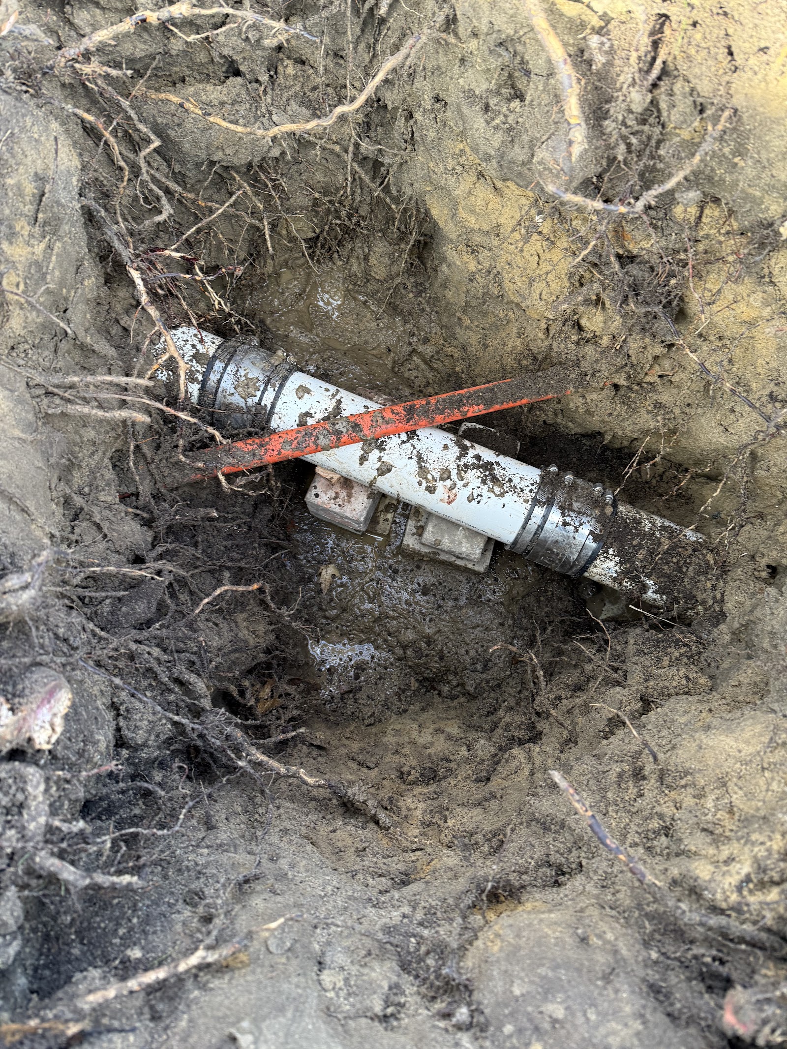 Dynamic Drain Services in Port Huron