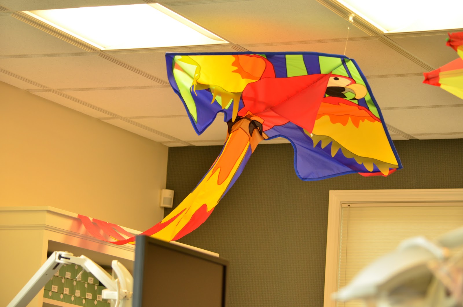 Orthodontic Associates of Port Huron — photo