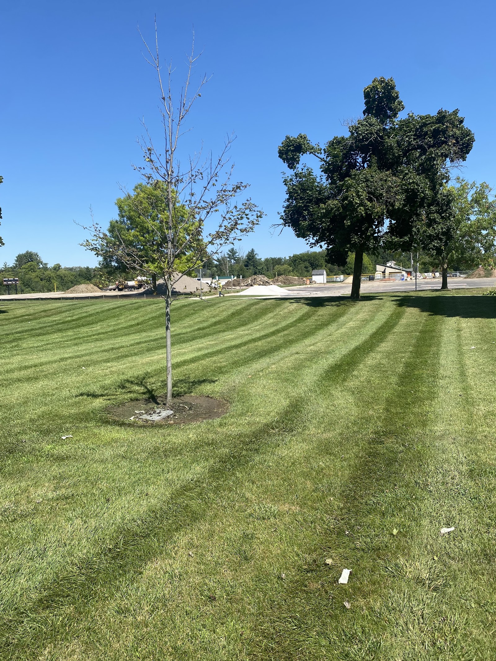Steve’s Lawn And Home Services in